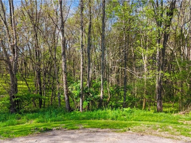 Orchard View Court , Unit Lot 167, Howard, OH 43050 Photo 12