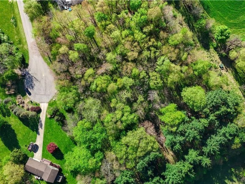 Orchard View Court , Unit Lot 167, Howard, OH 43050 Photo 3