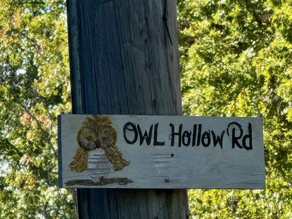 000 Owl Hollow Road, Palmer, TN 37365
