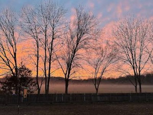 2871 Colton Cove , Fayetteville, AR 72701