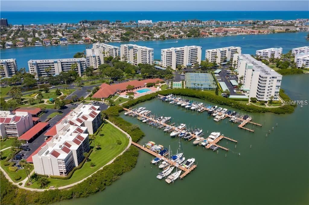 7932 Sailboat Key Boulevard S, Unit 101, South Pasadena, FL 33707 Photo