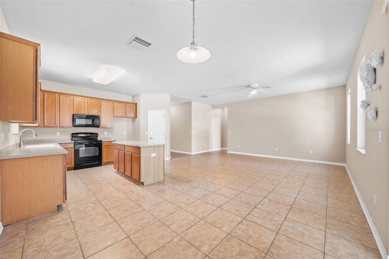 910 Fern Leaf Drive, Ruskin, FL 33570 Photo