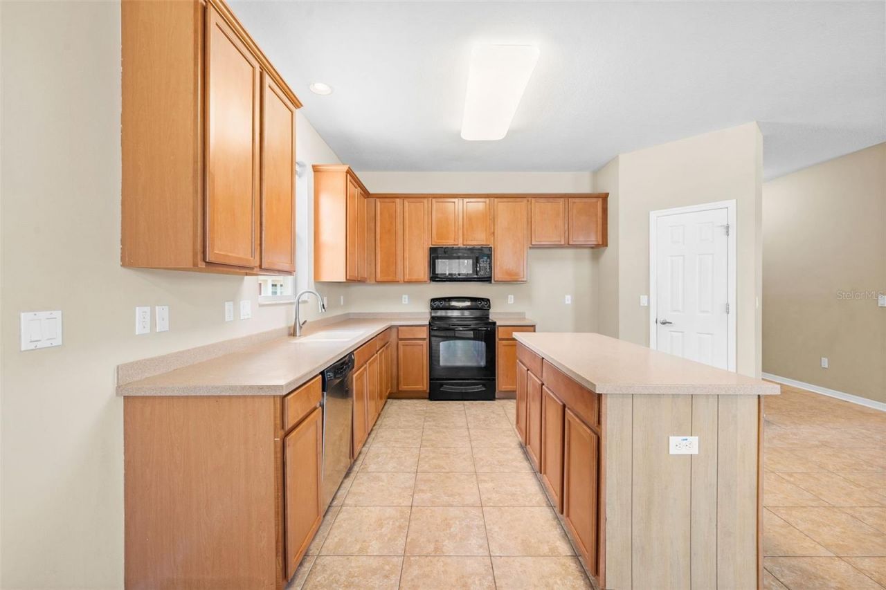 910 Fern Leaf Drive, Ruskin, FL 33570 Photo