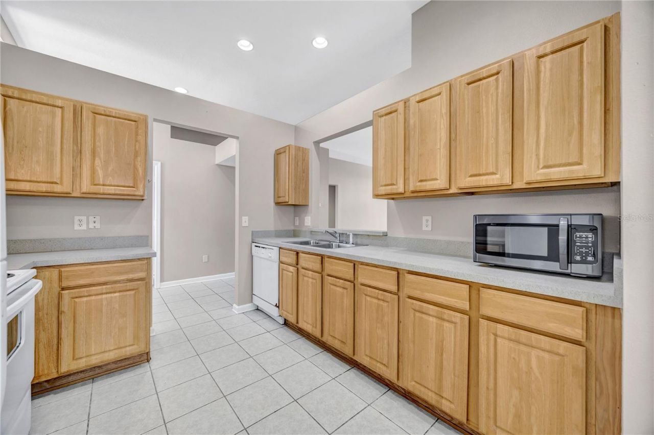 30435 Annadale Drive, Wesley Chapel, FL 33545 Photo