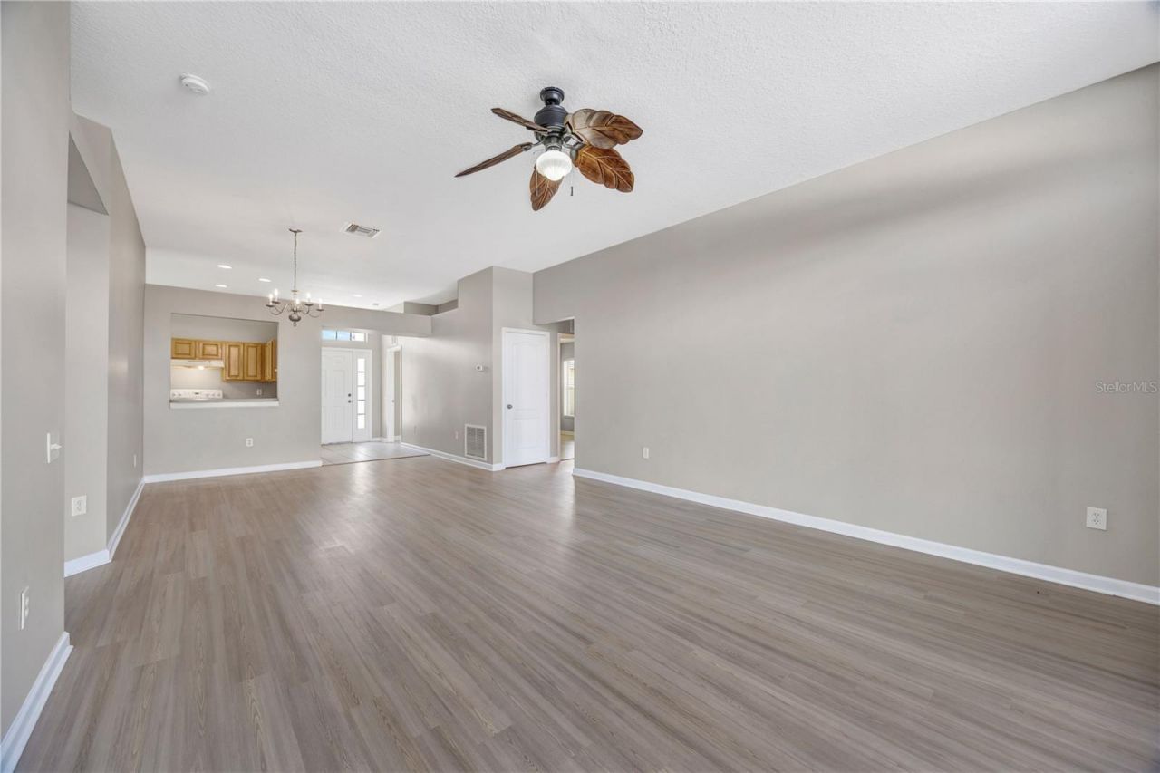 30435 Annadale Drive, Wesley Chapel, FL 33545 Photo