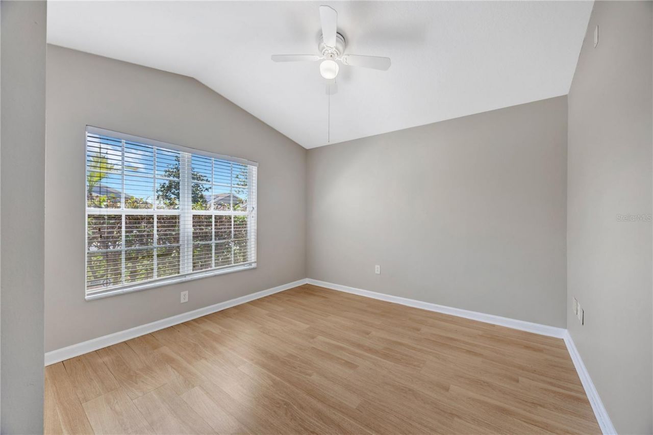 30435 Annadale Drive, Wesley Chapel, FL 33545 Photo