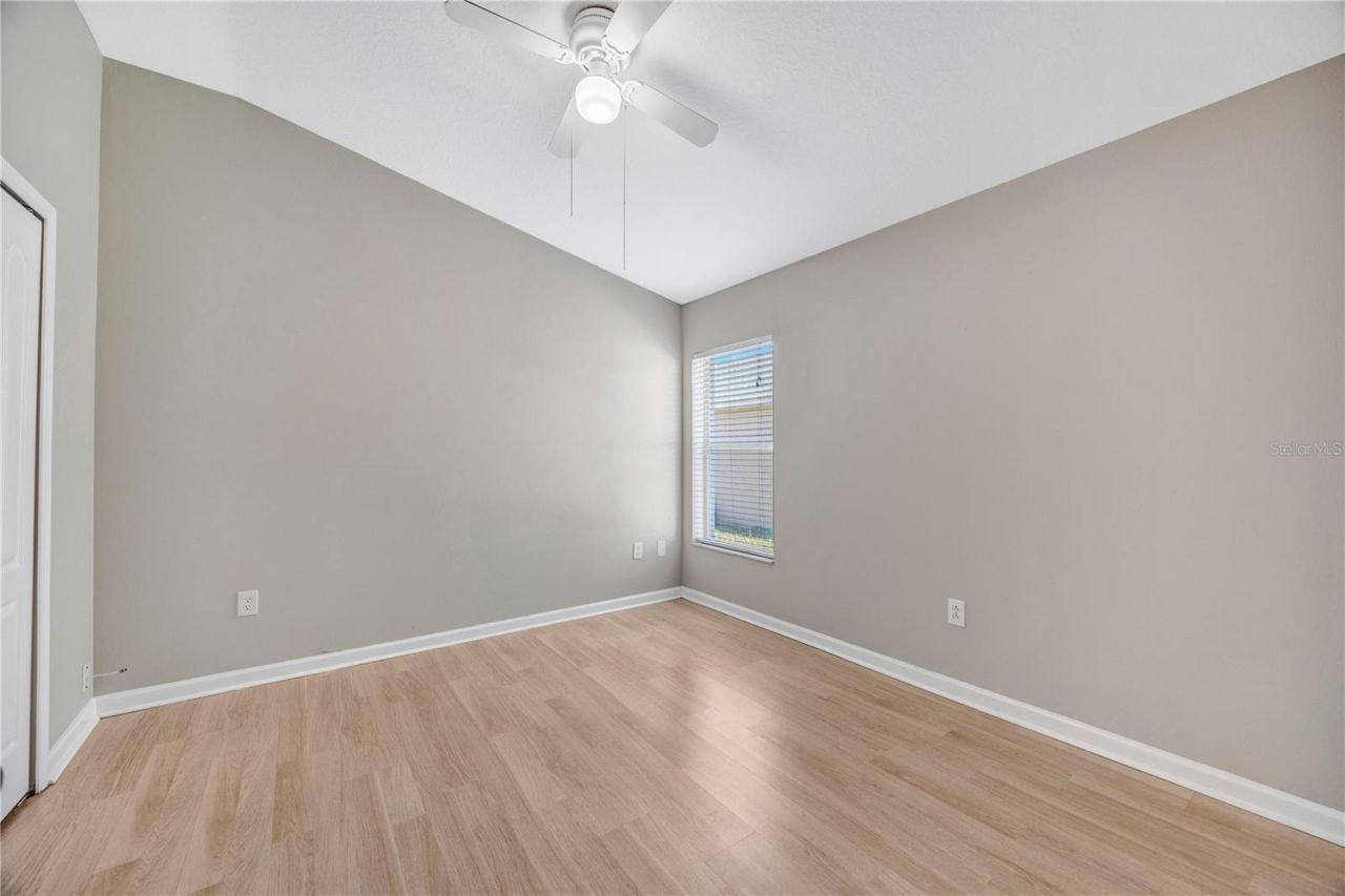 30435 Annadale Drive, Wesley Chapel, FL 33545 Photo