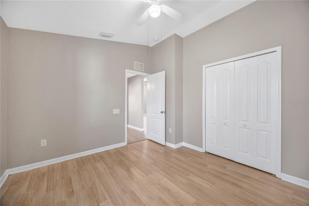 30435 Annadale Drive, Wesley Chapel, FL 33545 Photo