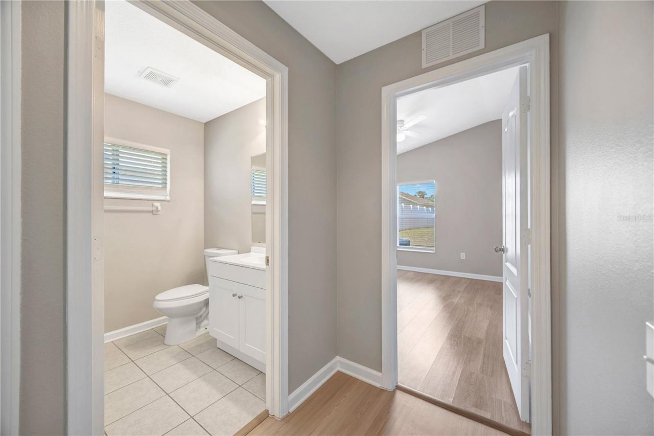 30435 Annadale Drive, Wesley Chapel, FL 33545 Photo