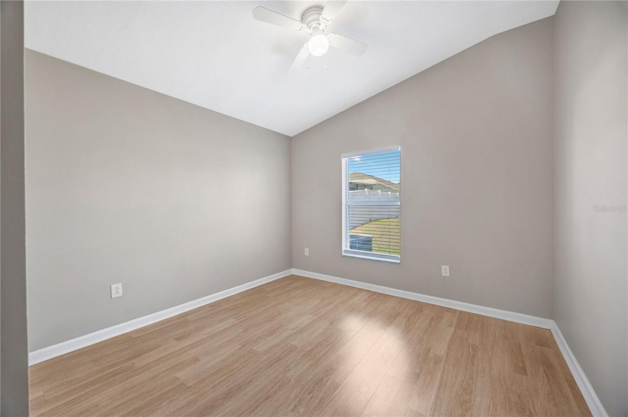 30435 Annadale Drive, Wesley Chapel, FL 33545 Photo