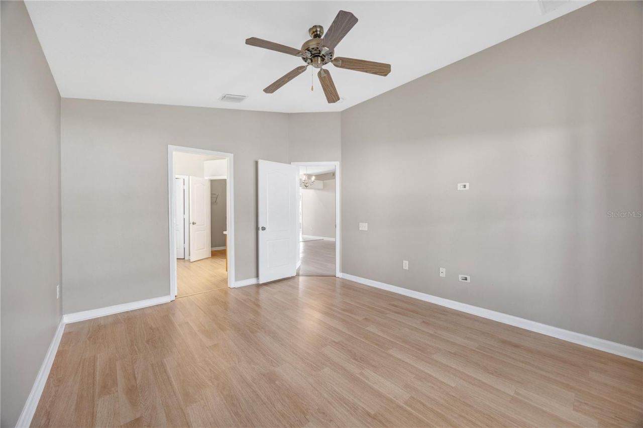 30435 Annadale Drive, Wesley Chapel, FL 33545 Photo