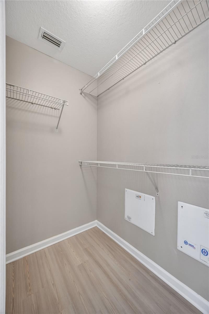 30435 Annadale Drive, Wesley Chapel, FL 33545 Photo