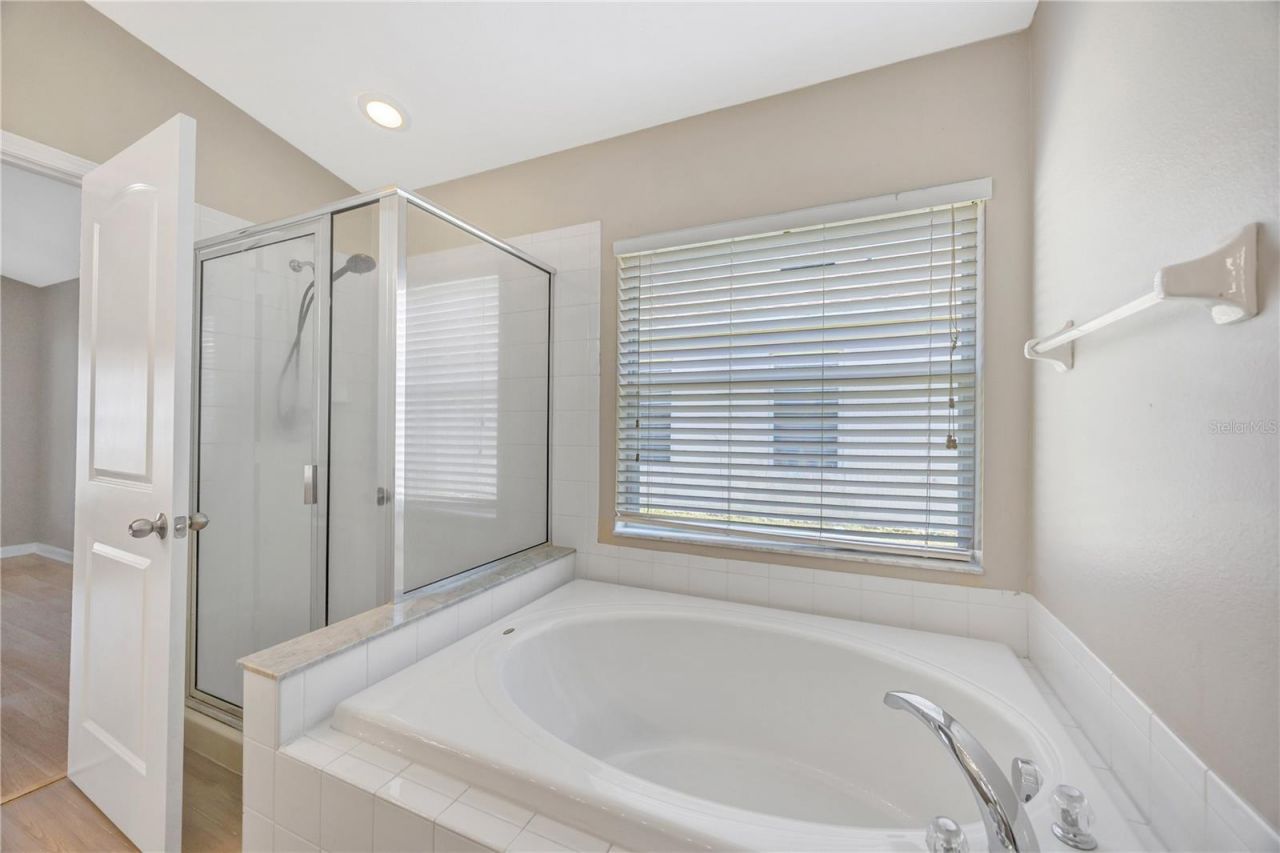 30435 Annadale Drive, Wesley Chapel, FL 33545 Photo