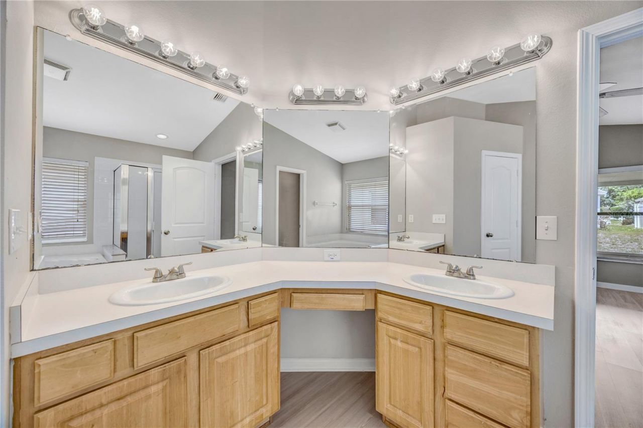 30435 Annadale Drive, Wesley Chapel, FL 33545 Photo