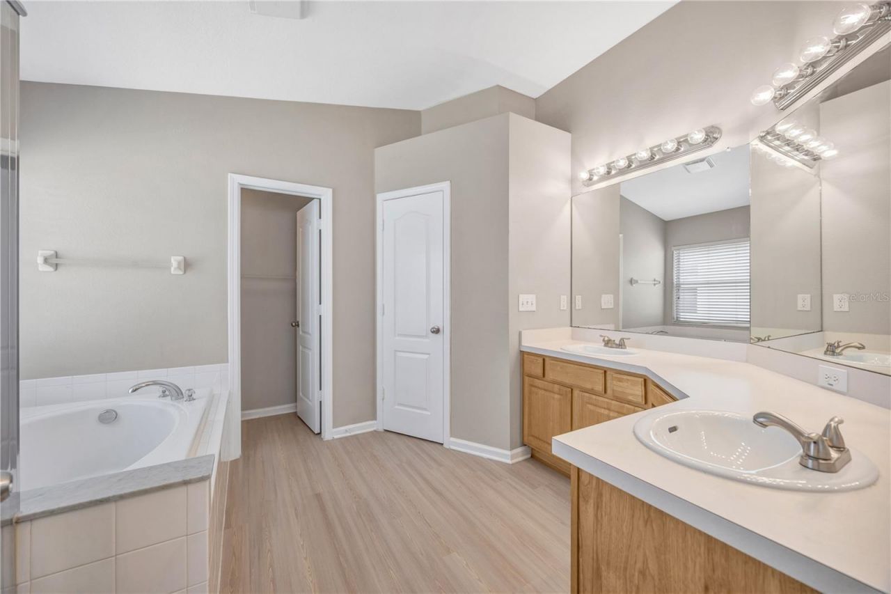 30435 Annadale Drive, Wesley Chapel, FL 33545 Photo