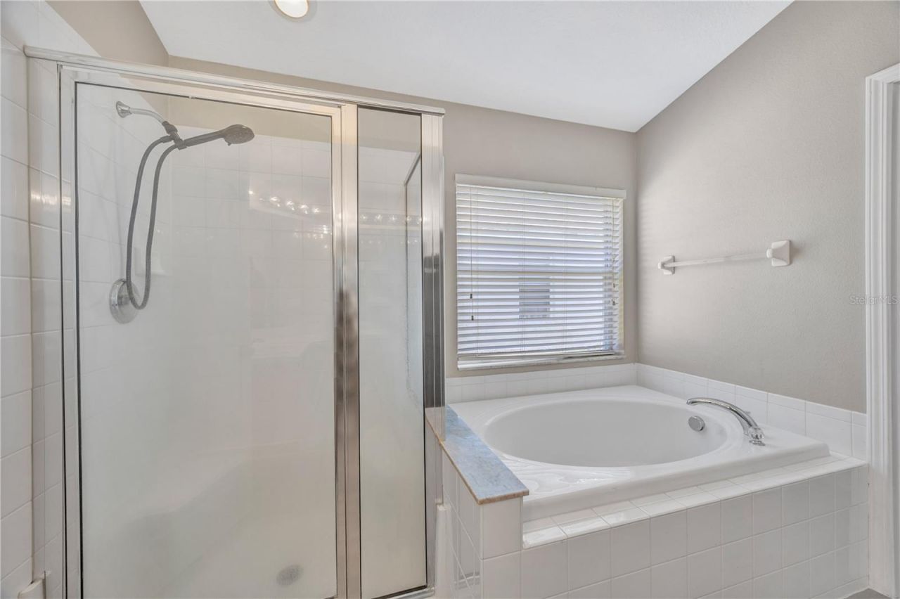 30435 Annadale Drive, Wesley Chapel, FL 33545 Photo