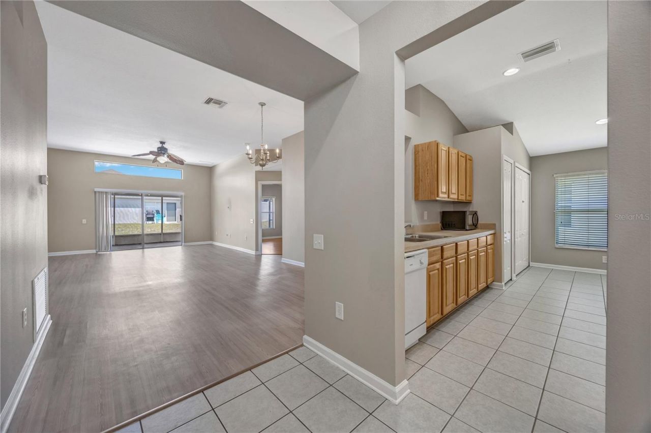 30435 Annadale Drive, Wesley Chapel, FL 33545 Photo