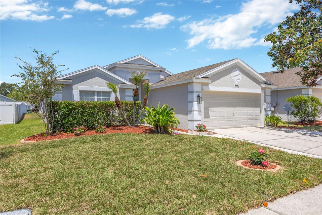 30435 Annadale Drive, Wesley Chapel, FL 33545 Photo