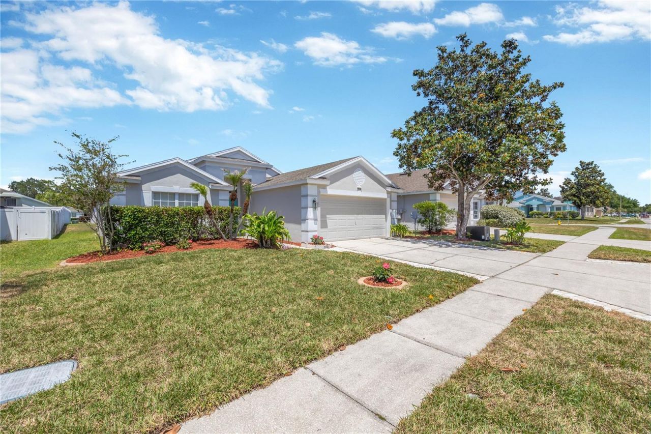 30435 Annadale Drive, Wesley Chapel, FL 33545 Photo