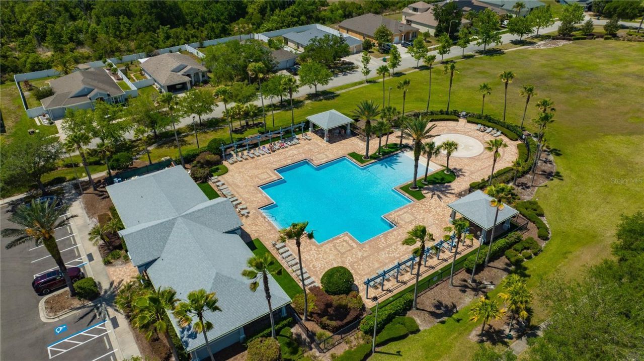 30435 Annadale Drive, Wesley Chapel, FL 33545 Photo