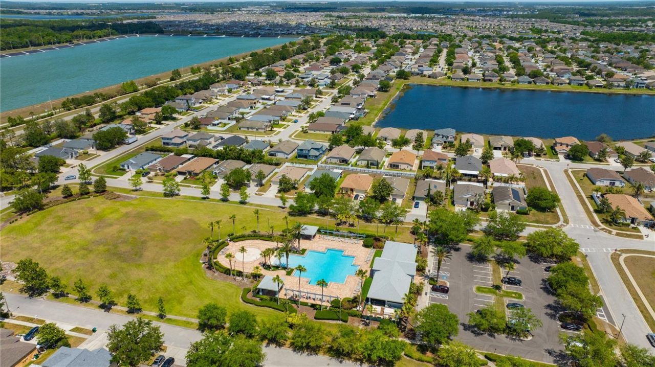 30435 Annadale Drive, Wesley Chapel, FL 33545 Photo