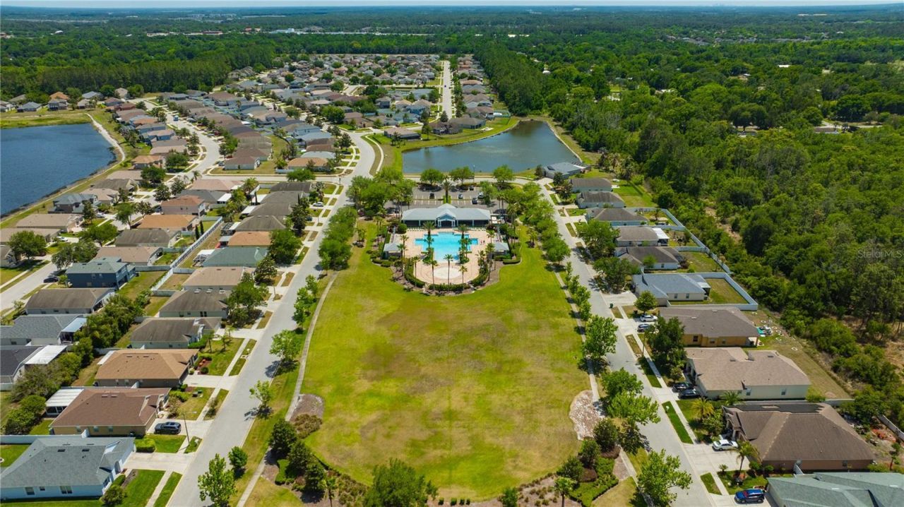 30435 Annadale Drive, Wesley Chapel, FL 33545 Photo