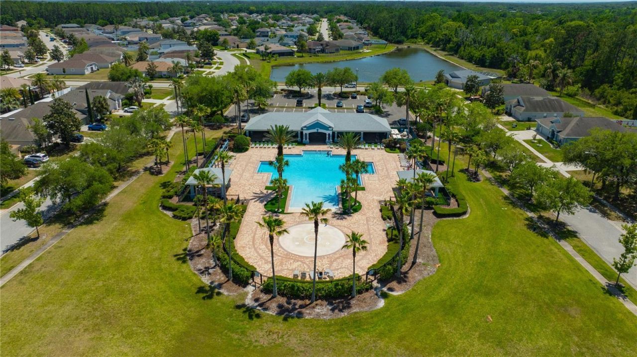 30435 Annadale Drive, Wesley Chapel, FL 33545 Photo