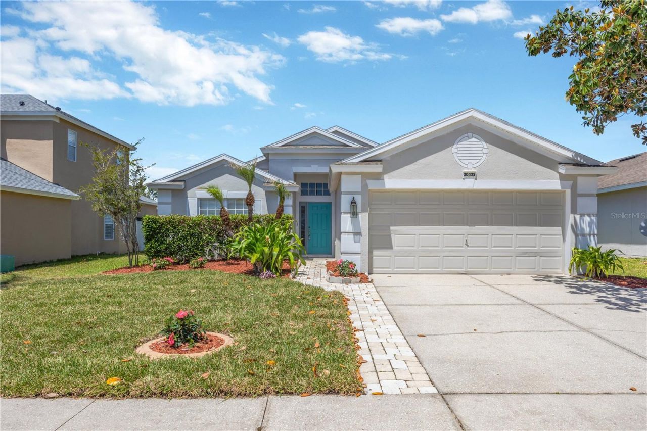 30435 Annadale Drive, Wesley Chapel, FL 33545 Photo