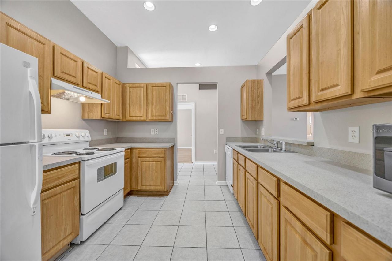 30435 Annadale Drive, Wesley Chapel, FL 33545 Photo