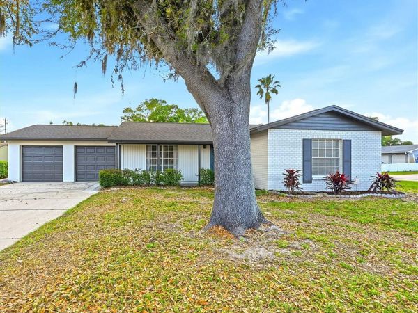 18320 DOLLY BROOK LANE , LUTZ, FL 33549