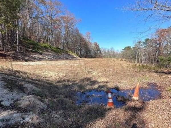 245 Beracah Walk SW, Atlanta, GA 30331