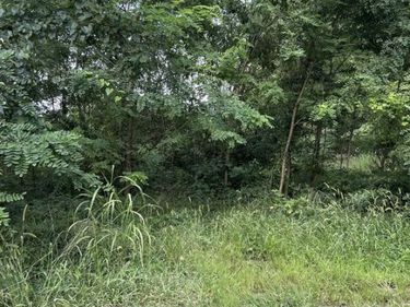 129 BOWLER LANE , ORANGE, VA 22960