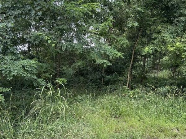 129 BOWLER LANE, ORANGE, VA 22960