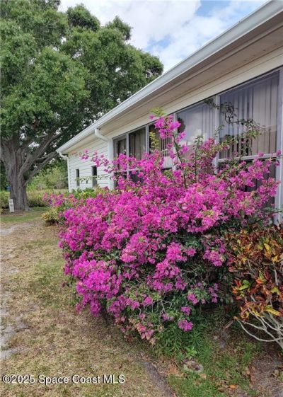 451 Papaya Circle, Barefoot Bay, FL 32976 Photo