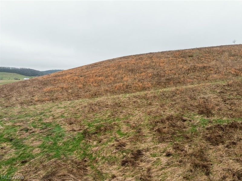 19114 Licking Valley Road , Frazeysburg, OH 43830 Photo 6