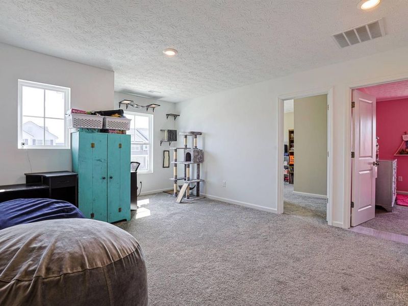 163 Autumn Maple Lane, Brookville, OH 45309 Photo 32