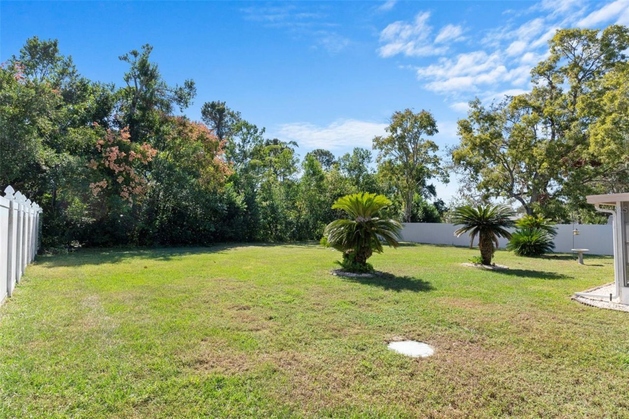 10464 Mayflower Road, Spring Hill, FL 34608 Photo