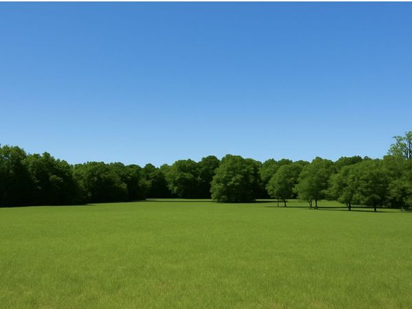 1778 Bluebird Rd , Lebanon, TN 37087