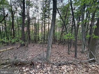 2394 CROW FOOT DRIVE, AUBURN, PA 17922