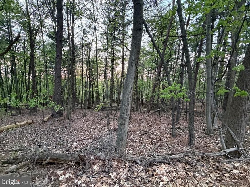 2394 Crow Foot Drive, Auburn, PA 17922 Main Photo