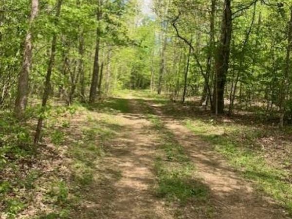 226 Madison CR 410 , Fredericktown, MO 63645