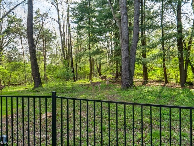 5137 Plain Center Avenue NE, Canton, OH 44714 Photo 45