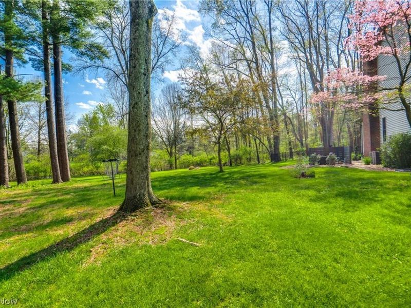 5137 Plain Center Avenue NE, Canton, OH 44714 Photo 46