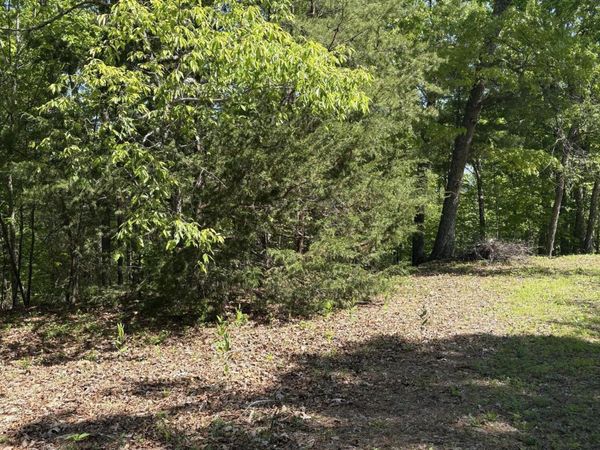 261 Mountain Retreat Rd, Townsend, TN 37882