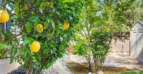 3906 Brace Ranch Rd, Loomis, CA 95650 Photo