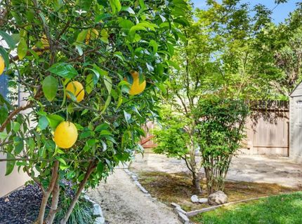 3906 Brace Ranch Rd, Loomis, CA 95650 Photo