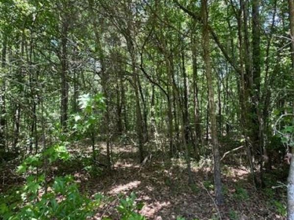 0 Mize Road, Commerce, GA 30529