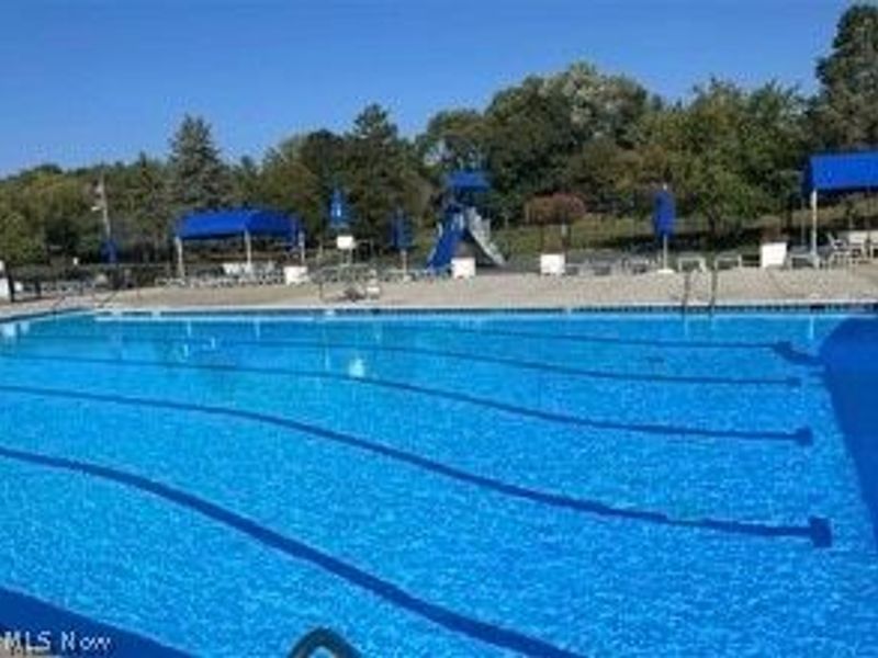 7308 Arborwood Drive, Hudson, OH 44236 Photo 47