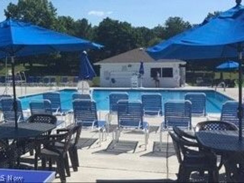 7308 Arborwood Drive, Hudson, OH 44236 Photo 48