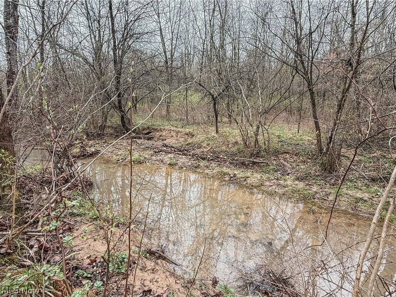 Buck Hill Road , Frazeysburg, OH 43822 Photo 11